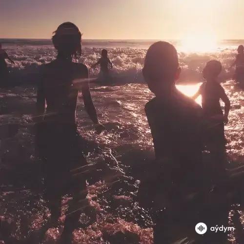 One More Light (2017)