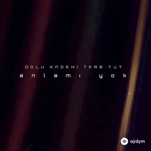 Dolu Kadehi Ters Tut - Anlamı Yok