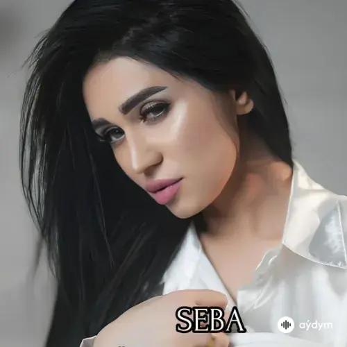 Seba Singer