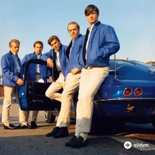 The Beach Boys