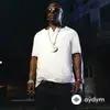 Jay Sean-Birdman-Flo Rida  - Written On Her (Remix) - & Mack Maine