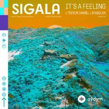 Sigala-Trevor Daniel-24kGoldn - It's A Feeling