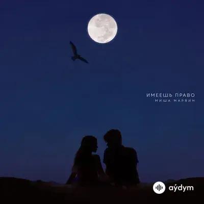 Миша Марвин - Имеешь Право
