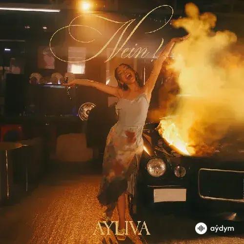 Ayliva - Nein!