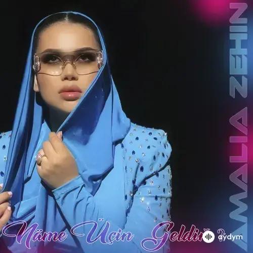 Amalia Zehin - Näme Üçin Geldiň