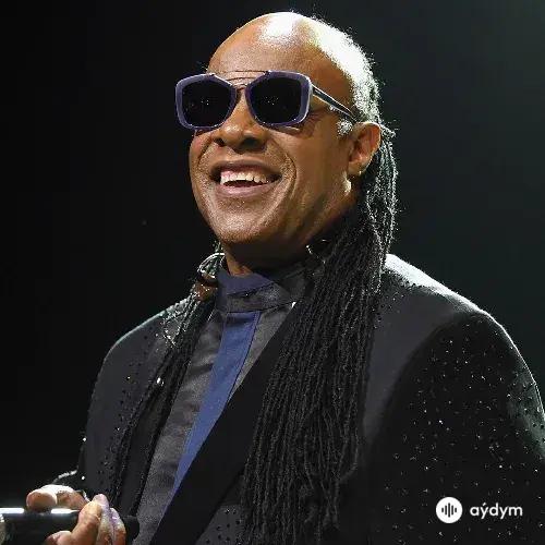  Stevie Wonder