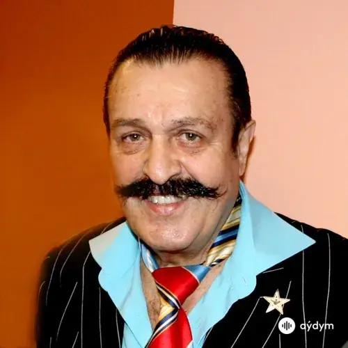 Вилли Токарев