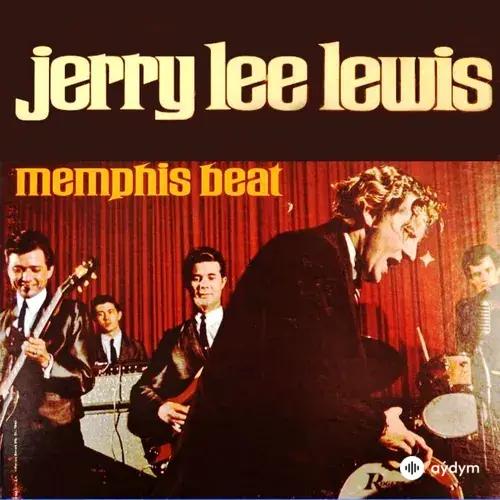 Jerry  Lee Lewis - Drinkin' Wine Spo-Dee O'Dee
