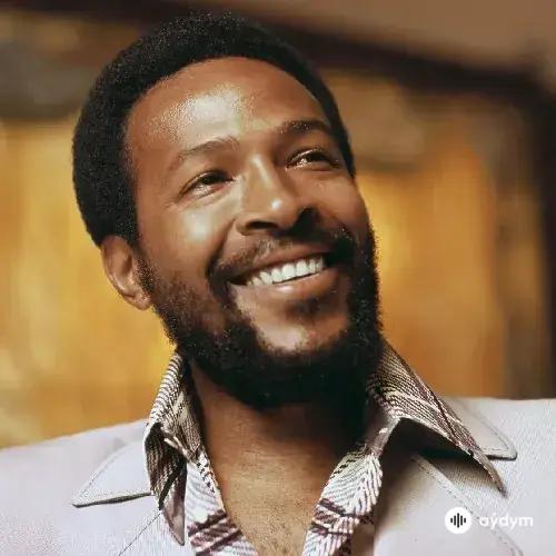 Marvin1 Gaye