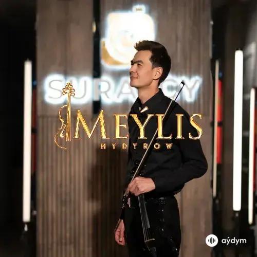 Meýlis Hydyrow - Ýürekleriň Şasy