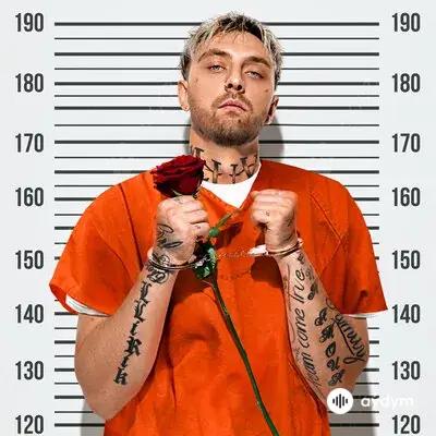 Кирилл  Мойтон - Украду