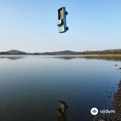 Post Malone - Who Needs You