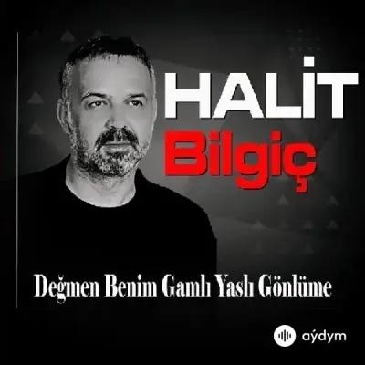 Halit Bilgiç - Degmen Benim Gamli Yasli Gönlüme