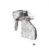 Coldplay   - Politik
