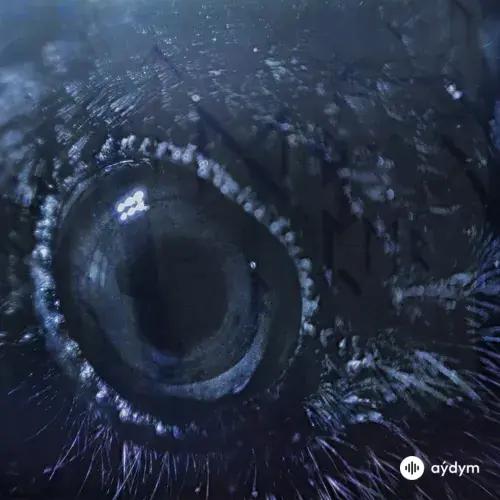 Danheim  - Draugrsongr