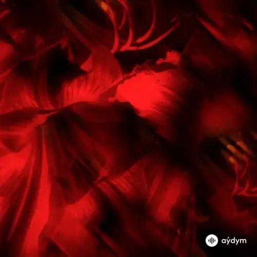 Вечеринка в стиле латина