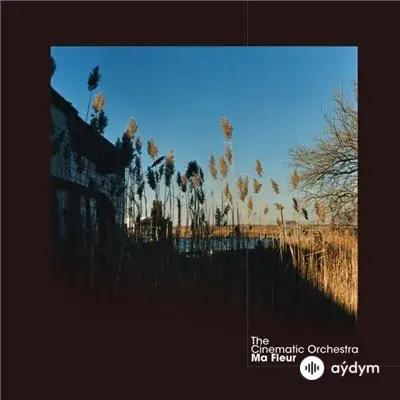 The Cinematic Orchestra 