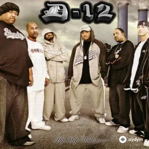 D12 