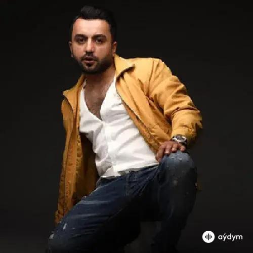 Fagan  Safarov