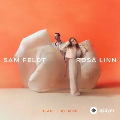 Sam Feldt-Rosa Linn - Heart Like Mine