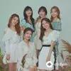DreamNote  - Joyful Green