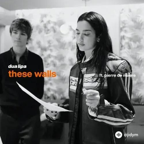 Dua Lipa-Pierre de Maere  - These Walls