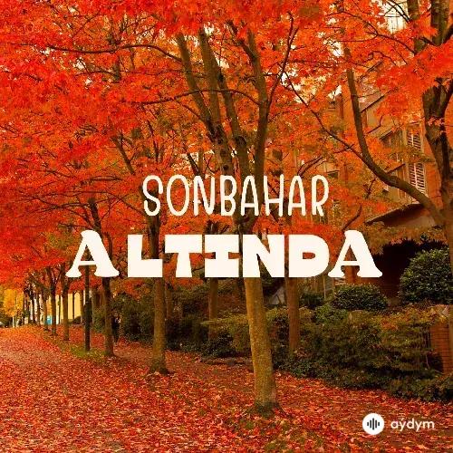 Sonbahar Altinda