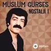 Müslüm  Gürses - Ne Dalım Ne Çiçeğim