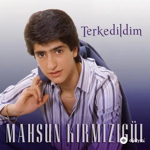 Terkedildim (2014)