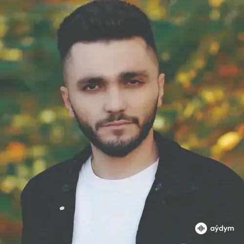 Ali  Fırtına