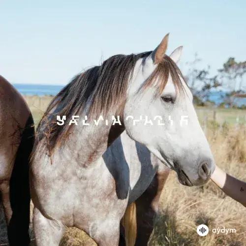 salvia palth  - i was all over her - Remaster