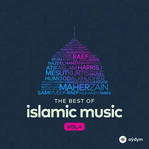 Mohamed  Tarek-Mohamed  Youssef - Medley in Love of the Beloved (pbuh)