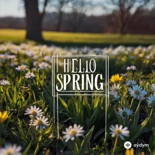 Hello Spring