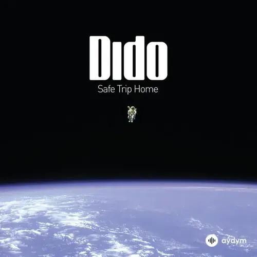 Safe Trip Home (2008)