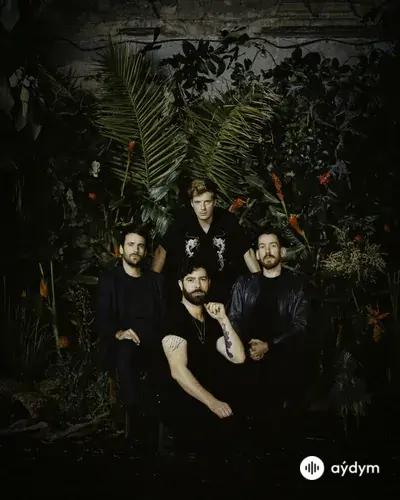 Foals