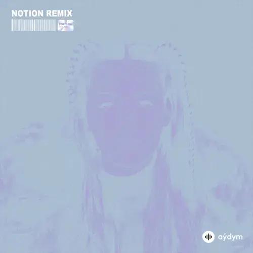 Chrystal -Notion  - The Days - NOTION Remix