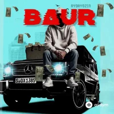 Aydayozin  - Vulkan (Baur)