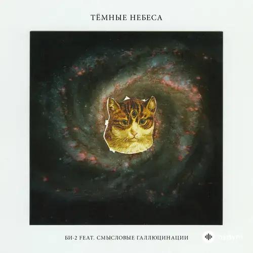 Тёмные Небеса