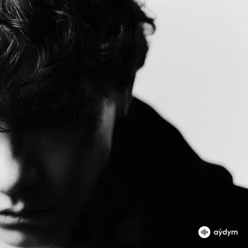 Висхолдинг