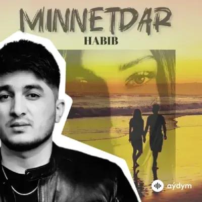 Habib  - Minnetdar