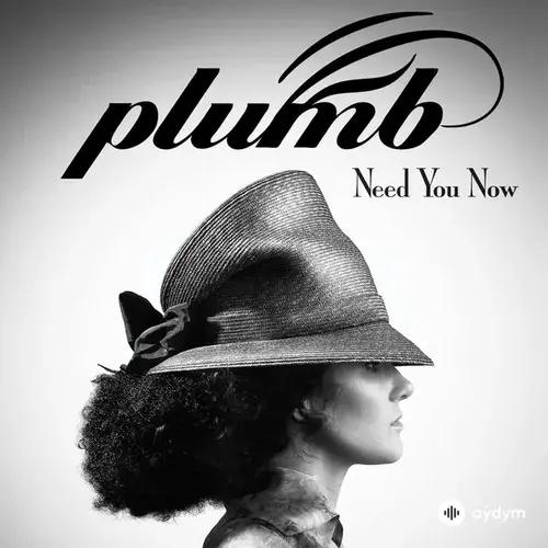 Paul Van Dyk-Plumb  - I Don't Deserve You