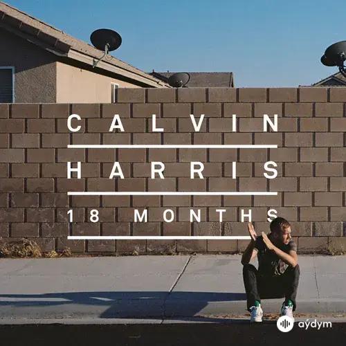 Calvin Harris - Feel So Close (Radio Edit)