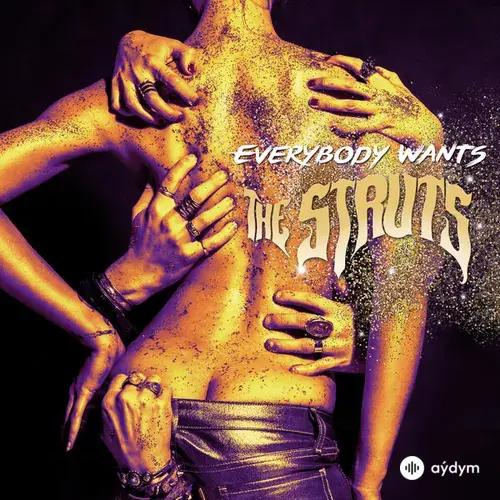 The Struts  - Kiss This