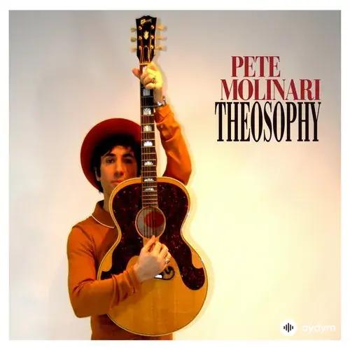 Pete Molinari  - Hang My Head in Shame