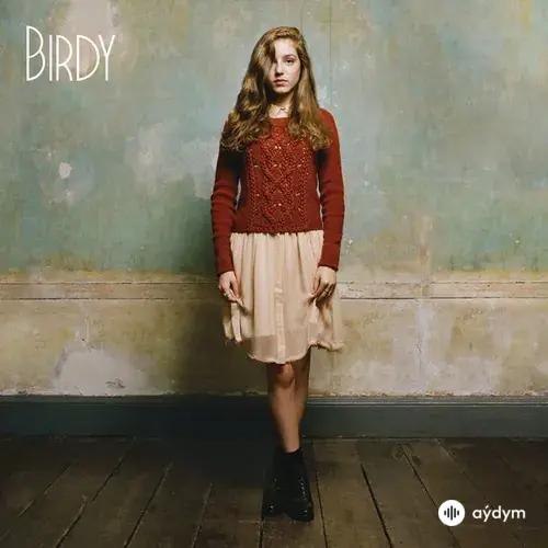 Birdy - Shelter