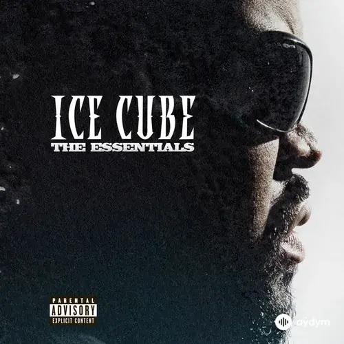 Ice Cube  - It Was A Good Day