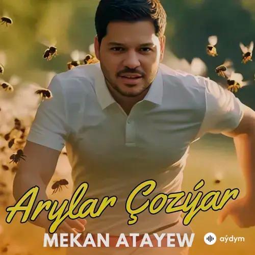 Mekan Ataýew - Arylar Çozýar