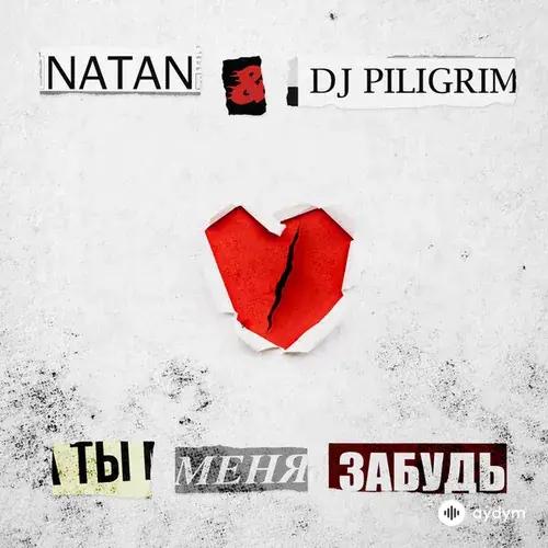 Natan-DJ Piligrim  - Ты меня забудь