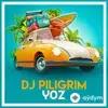 DJ Piligrim  - Hayolim Elim