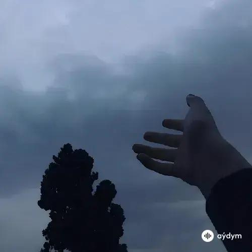 Gibran  Alcocer - Idea 15